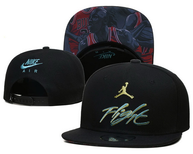 Jordan hats 12